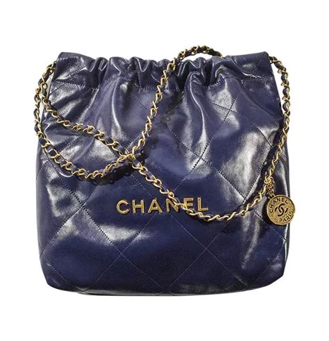 25cm chanel bag|Chanel new bag 2022.